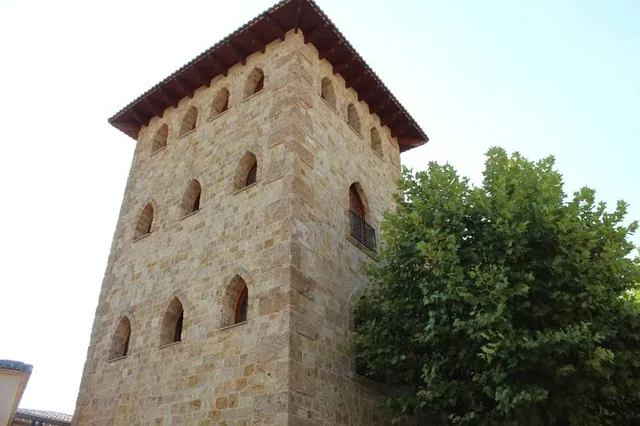 Counts of Cervellón's Palace