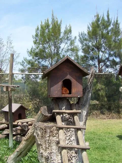 place image