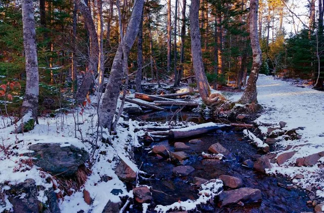 Cottage Grove Ravine Regional Park