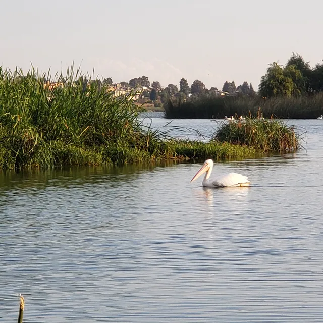 Santa María Acuitlapilco