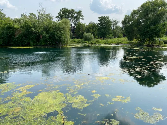 Wildwood Program Center