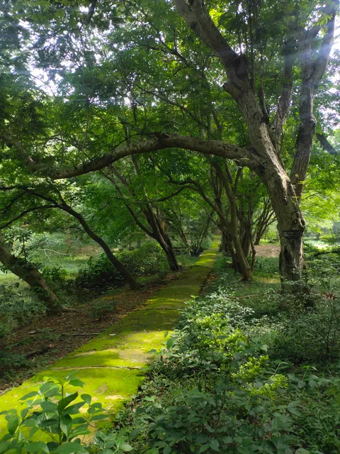 Dr. H.K. Baruah Regional Botanical Resource Centre