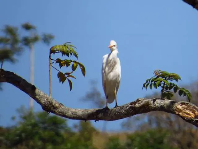 Jupiter Ridge Natural Area