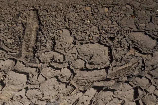 Parrocchia Santa Candida