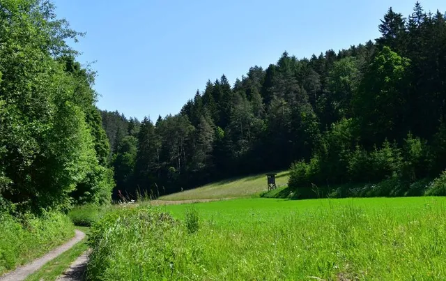 Naturpark Fränkische Schweiz - Veldensteiner Forst