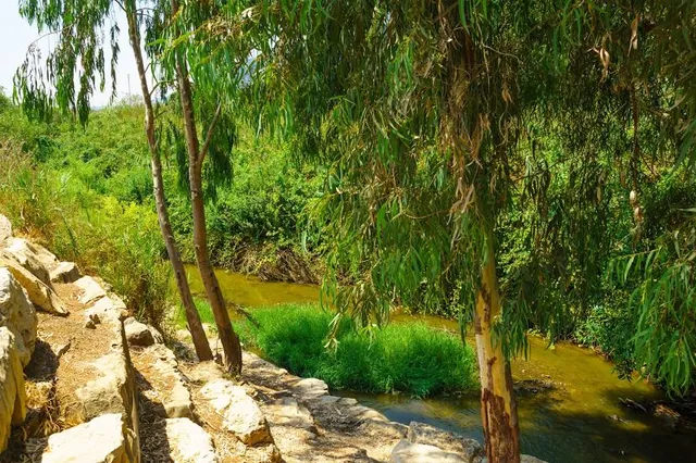 Ha'Amakim Park