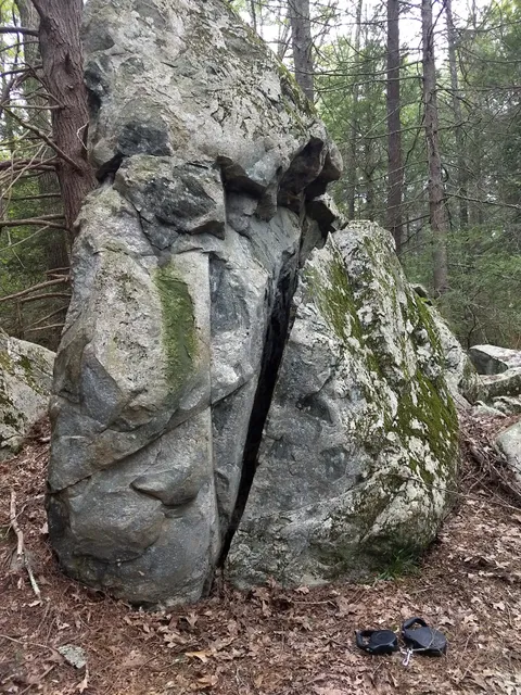 Georgetown-Rowley State Forest