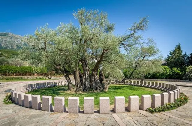 place image