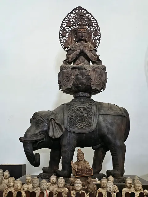 photo-1