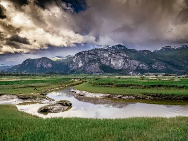 Squamish Estuary