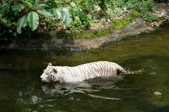 Municipio de Jayaque