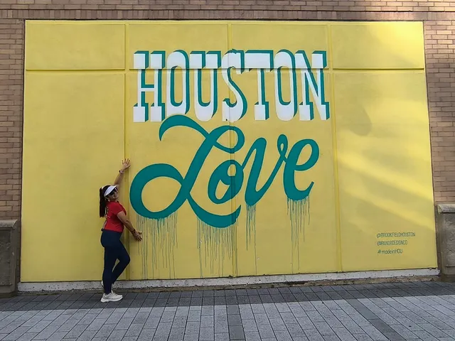 Downtown Houston Pandr Murals