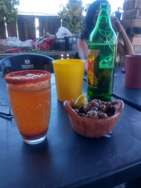 Caracoles Santa Julia