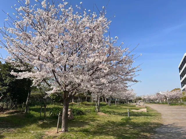 Amagasaki City Agricultural Park