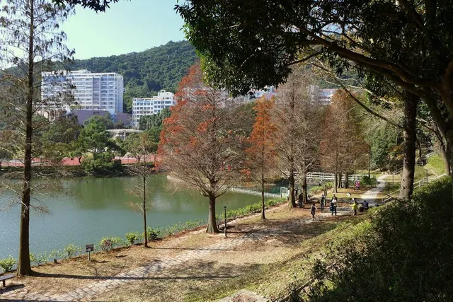 Lake Ad Excellentiam