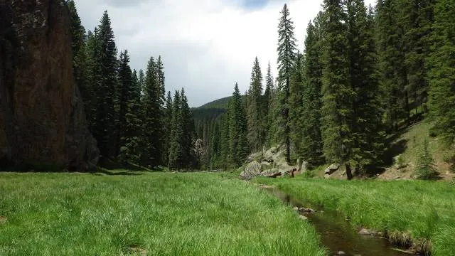 Las Conchas Trailhead