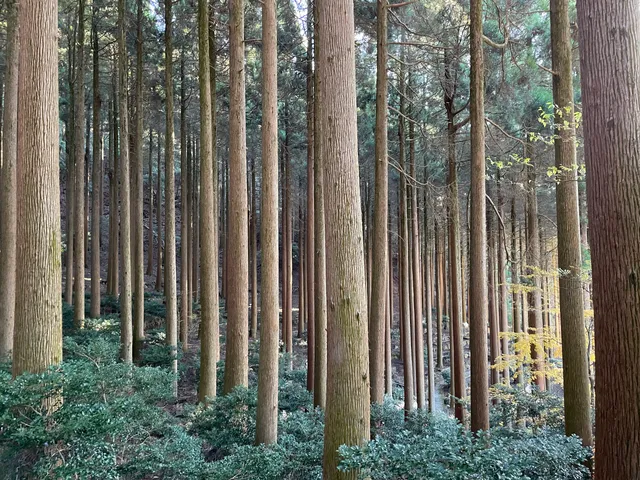 Kirishima Hotel Cedar Garden