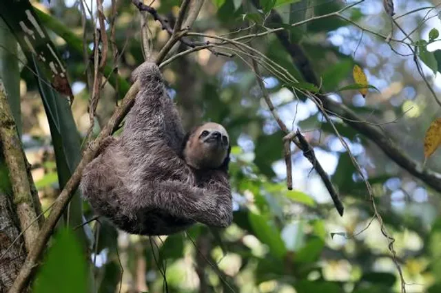 Peperpot Nature Park