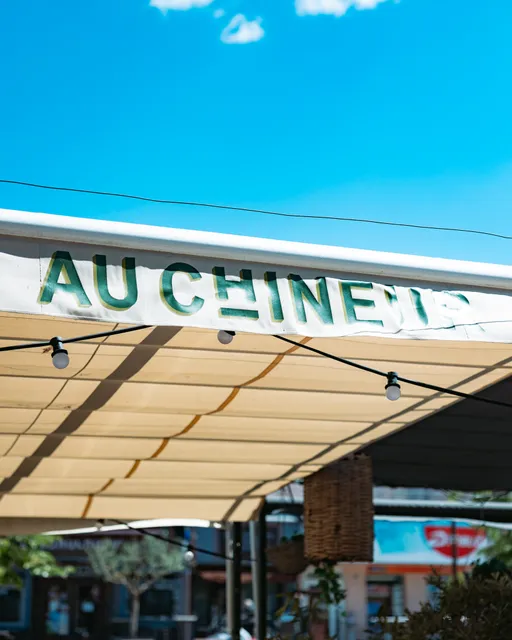 Au Chineur l'Isle sur la Sorgue