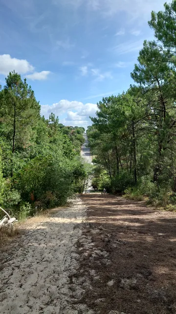 Piste de ski sur aiguilles de Pins