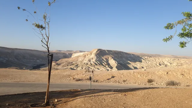 מרכז צפרות רמת הנגב