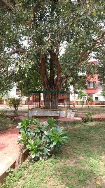 GAUTAM BUDDHA PARK
