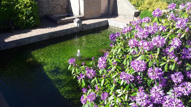 Les sources de la Semois