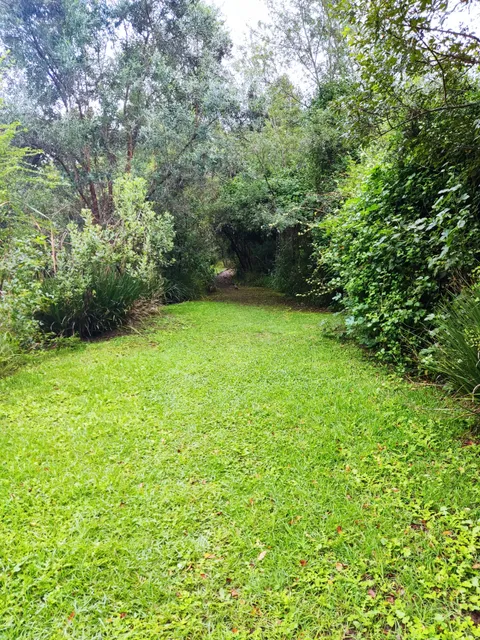 Pledge Nature Reserve