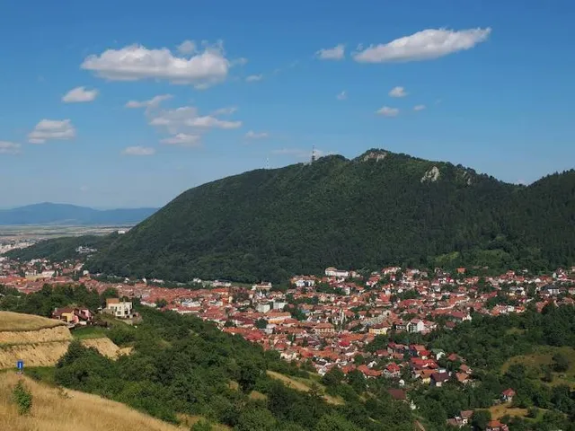 Valea Viilor