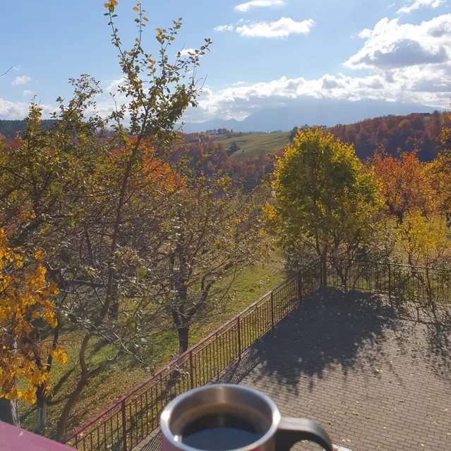 Vila pe deal Poiana Mărului