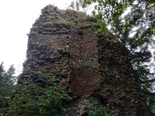 Ruiny Baszty w Czarnym Borze