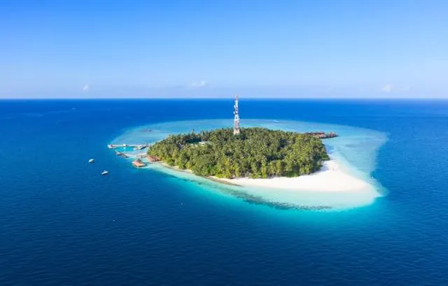 Big Cat Green Island Reef Cruises