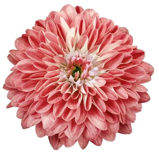 Les Fresques de Bel Air