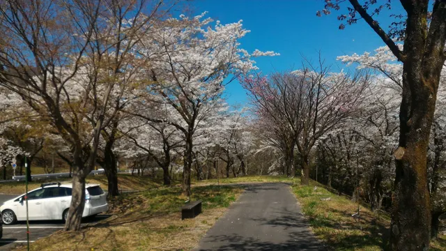 Shibukawa City Multipurpose Park