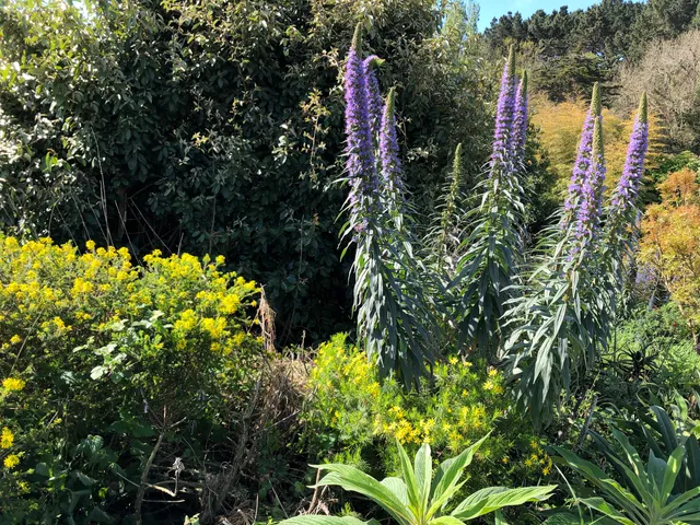 Pépinière La Laurisylve Garden