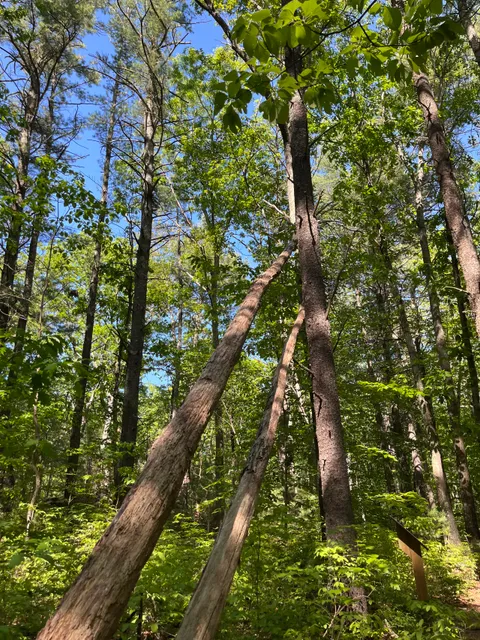 Medfield Park & Recreation