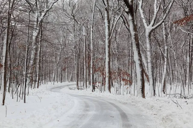 Edward L. Ryerson Conservation Area