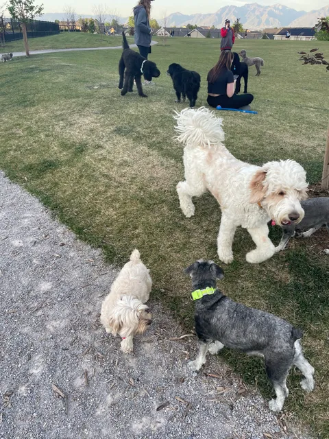 K9 Memorial Dog Park