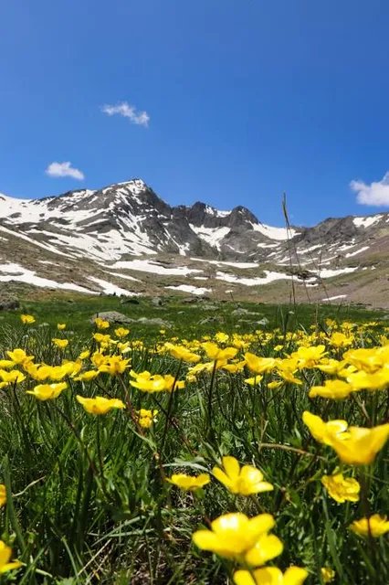 Artabel Lakes Nature Park