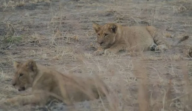 Annie and Abel Van Meter State Park