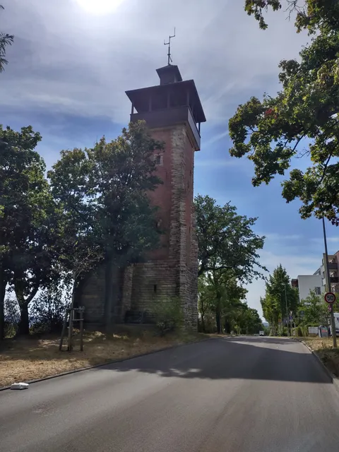 Observation Tower Burgholzhof