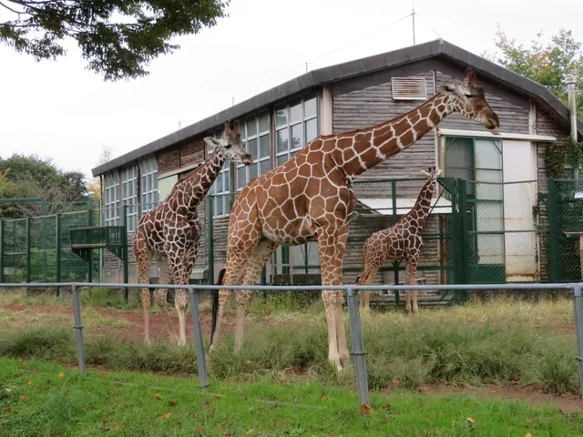 Saitama Children's Zoo