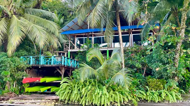 PALMERAS DEL RÍO Hotel