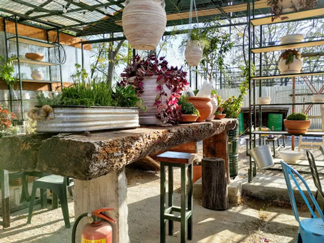 Ozi Donga - Crazy Australian's Shed