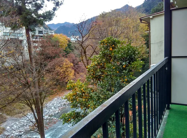 Kankou-sou hotel with hot spring