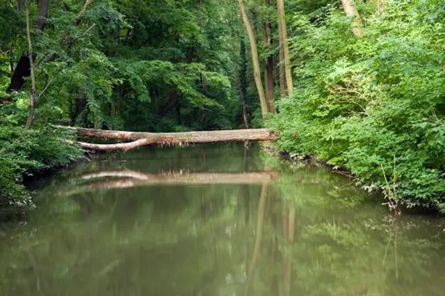 Mikulčice Archaeopark