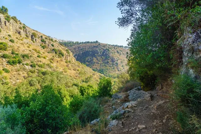 Nature Reserve Nahal Amud