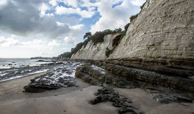 Saint Leonards Beach