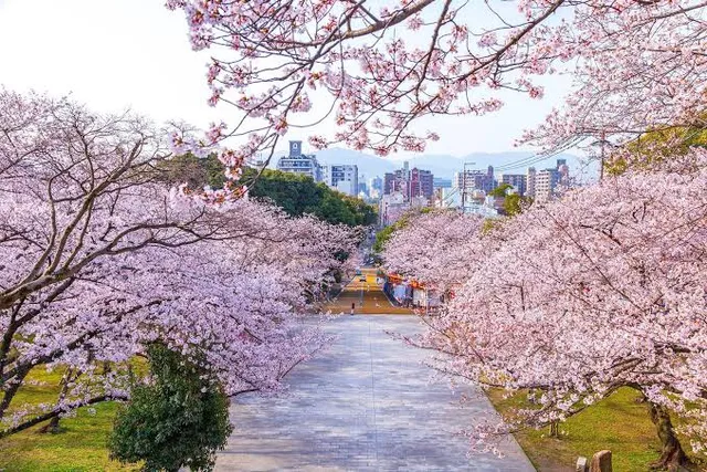 Nishi Park