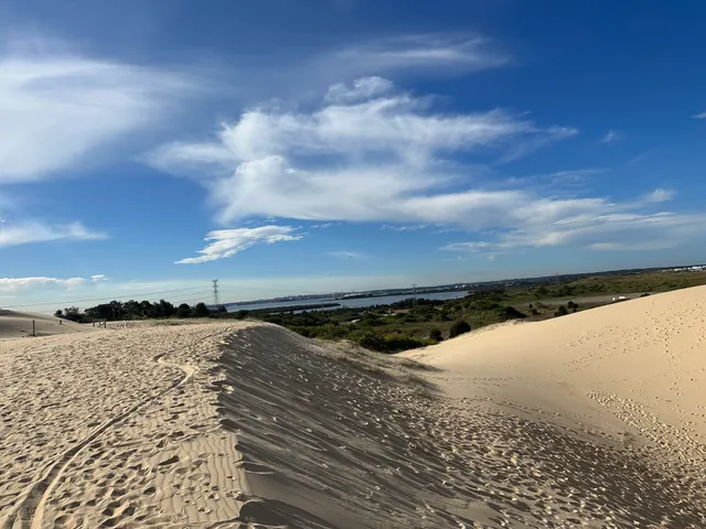 Cronulla Sand Dunes